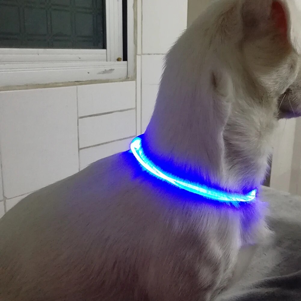 LED pet collar band