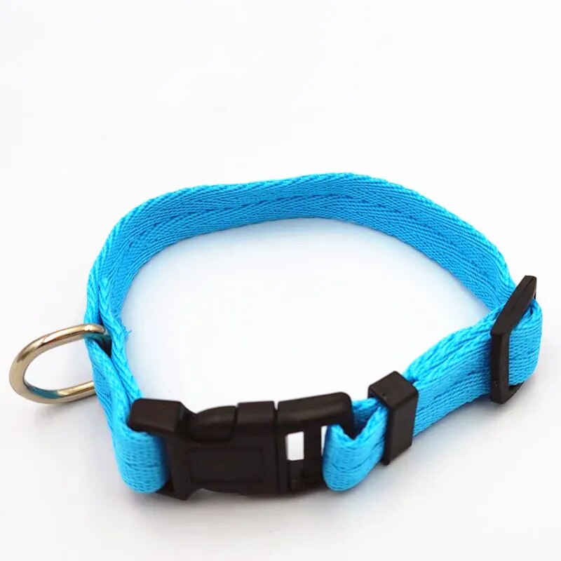 Pet collar