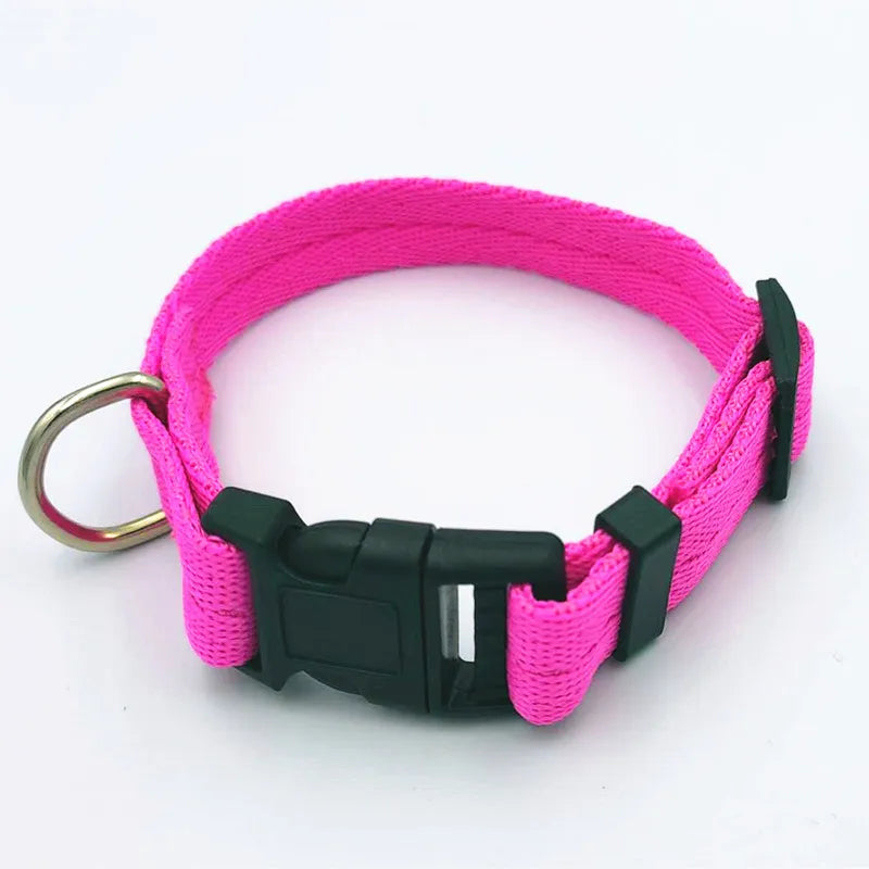 Pet collar