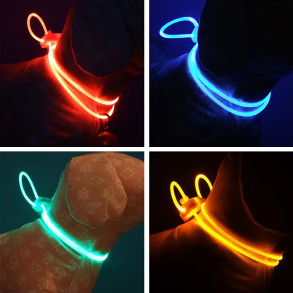 LED pet collar band