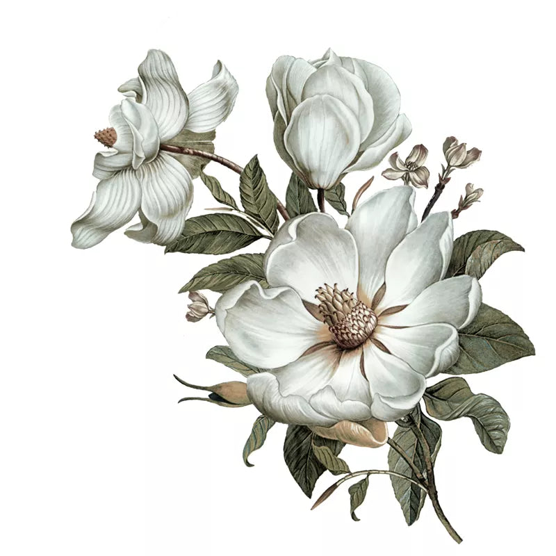 Three Ratels Qc115 Flowers Wall Sticker Classical Magnolia for Home Decoration Wall Sticker Art for Bedroom