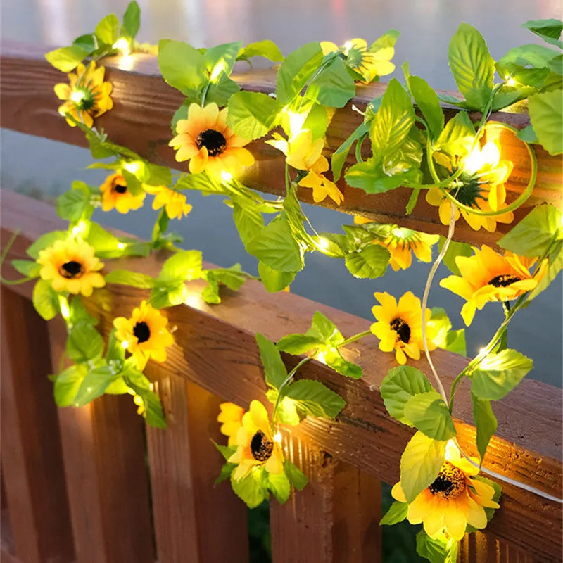 BlossomGlow - Lobitos