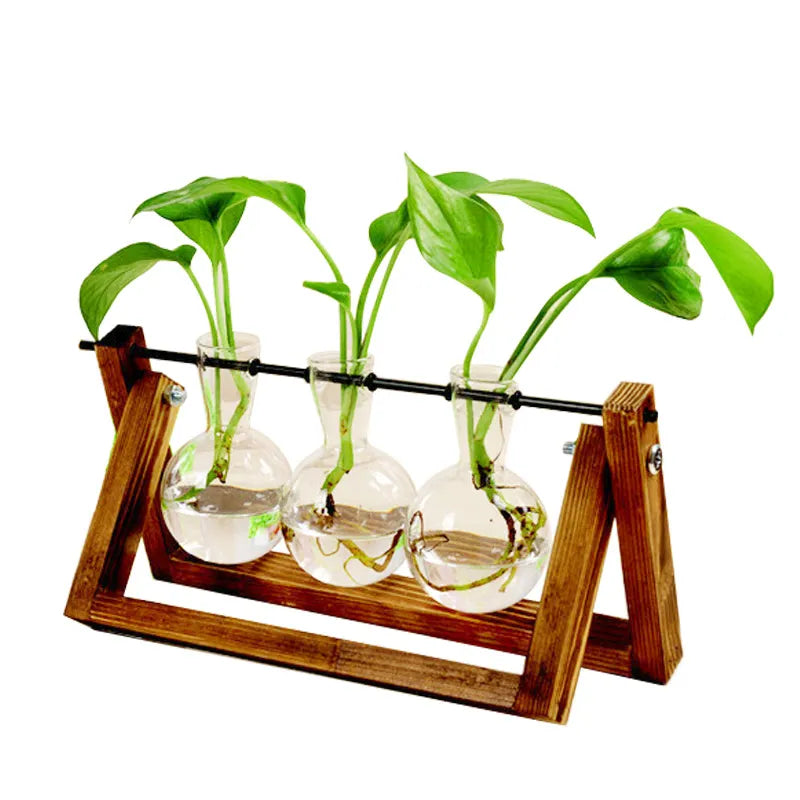 Terrarium Creative Hydroponic plans Transparent Vase Wooden Frame Vase Decoration Glass Tabletop Plant Bonsai Decor Flower Vase