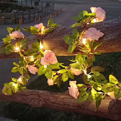 BlossomGlow - Lobitos