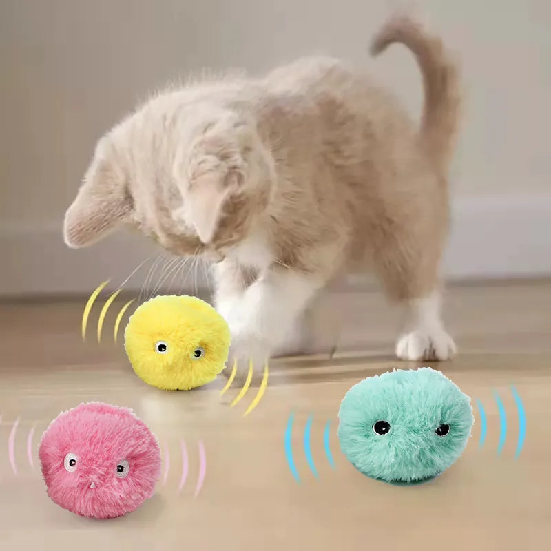 Interactive cat toys