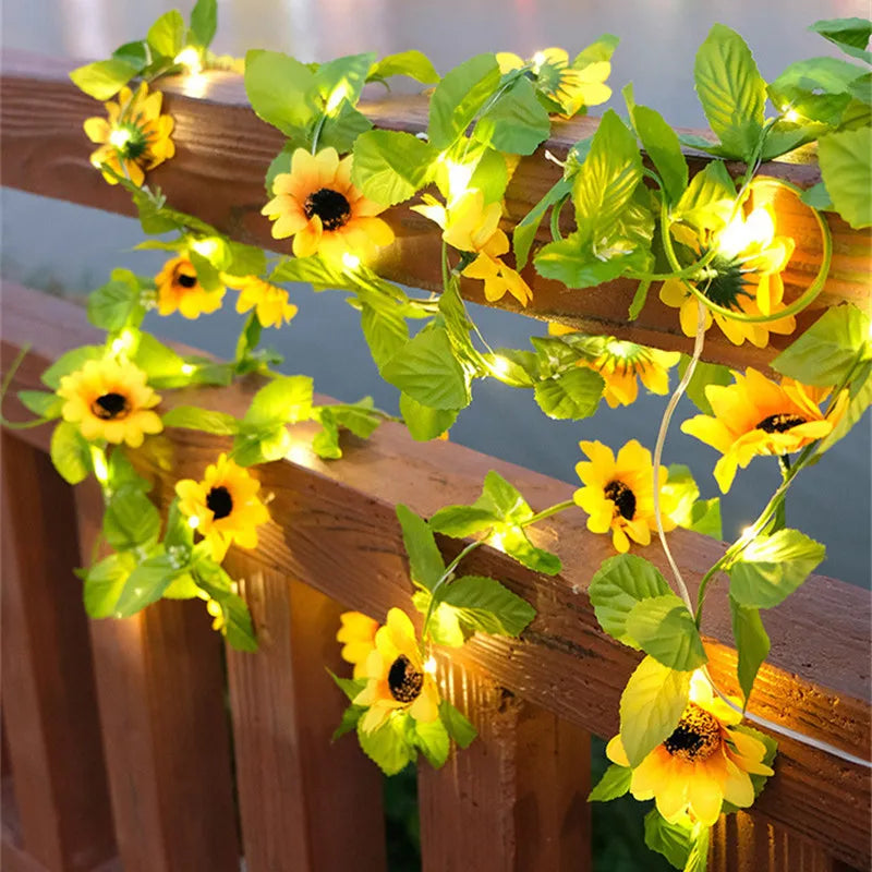 BlossomGlow - Lobitos