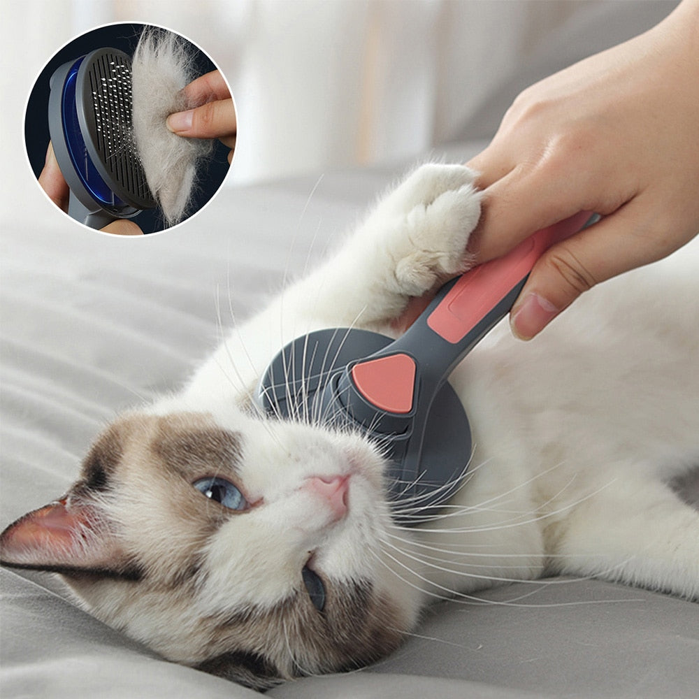 Massage brush for the cat